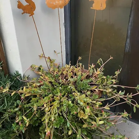 Vacanze Dante's House Piano Terra *