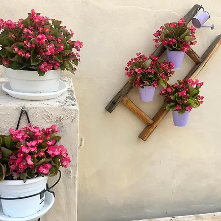 Vacanze Dante's House Piano Terra 公寓 斯佩洛